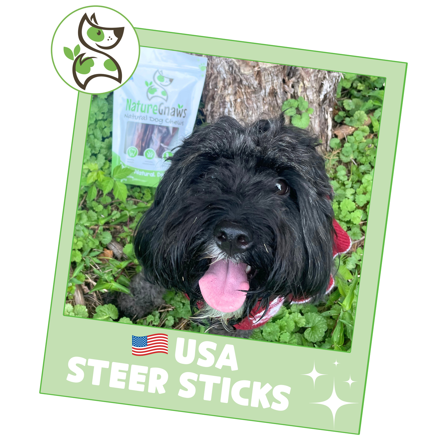 USA Steer Sticks