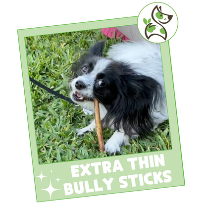 Extra Thin Bully Sticks 5-6"