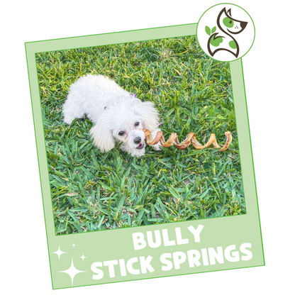 Bully Stick Springs 7-8"