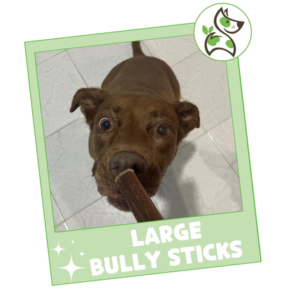 Large Bully Sticks 11-12"