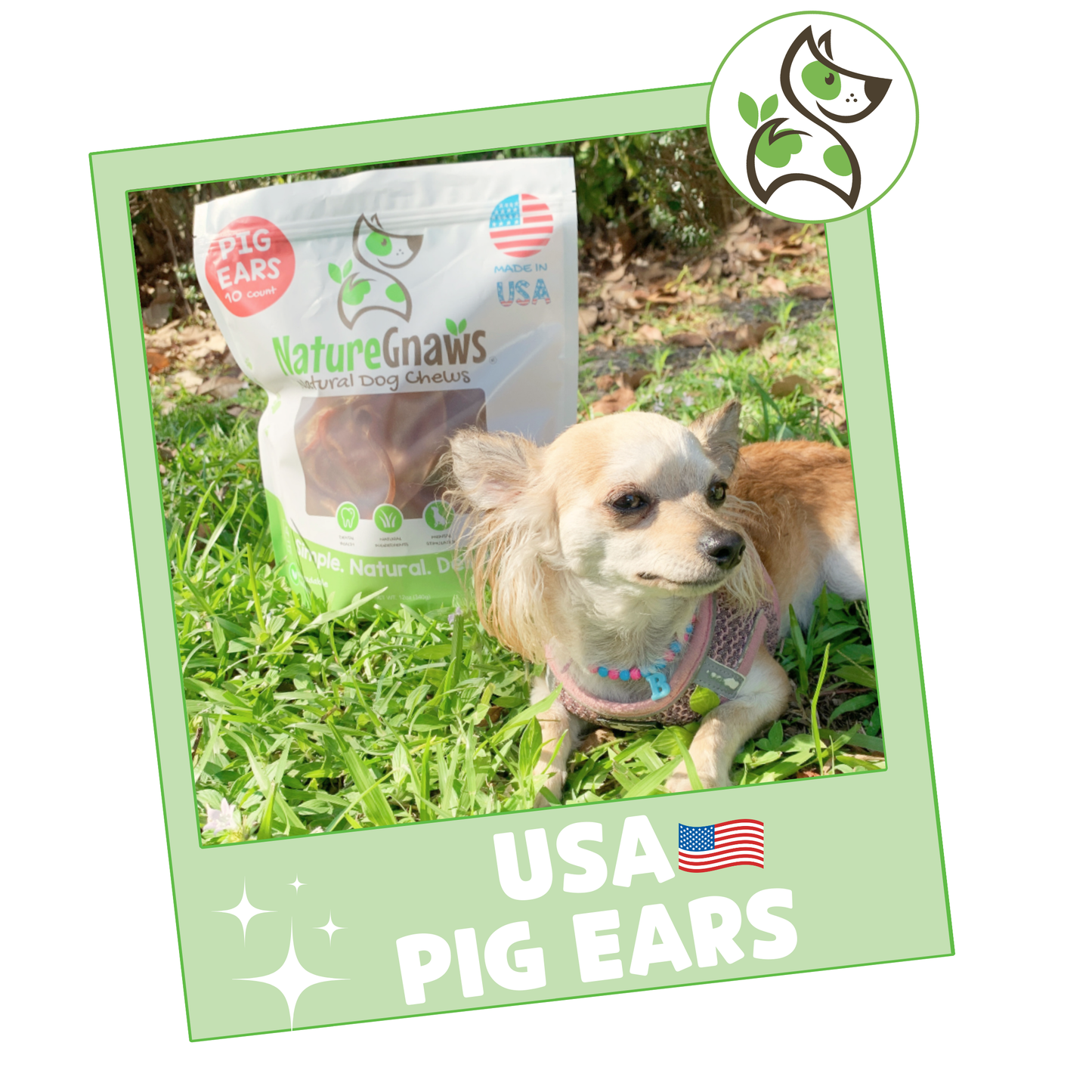 USA Pig Ears