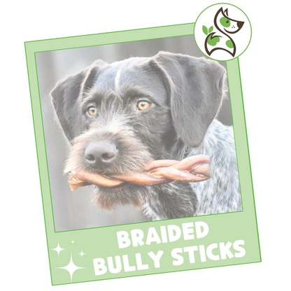 Braided Bully Sticks 5-6"