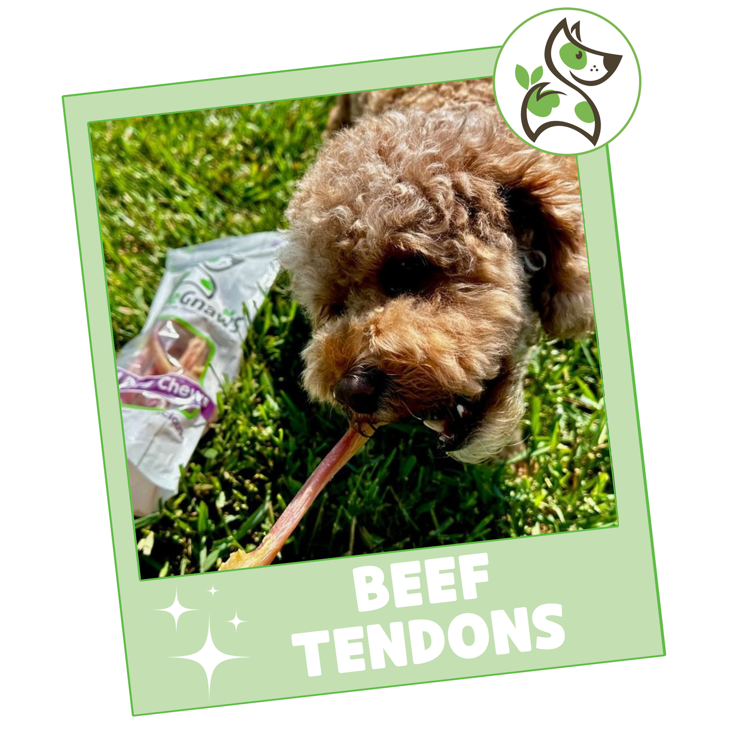 Beef Tendon Chews 7-11"