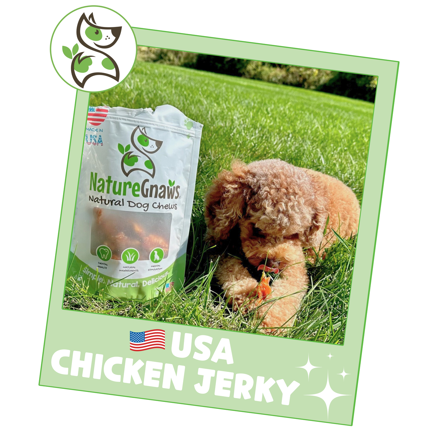 USA Chicken Jerky