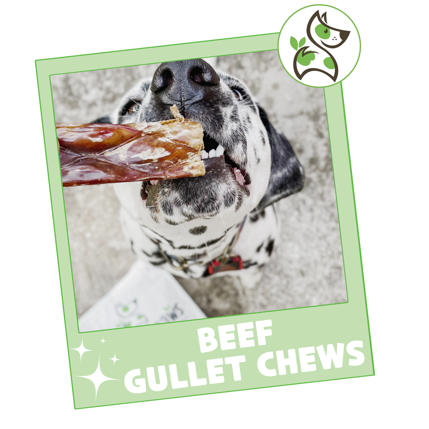 Beef Gullet Chews 9-10"