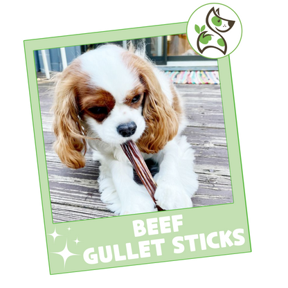 Beef Gullet Sticks 5-6"