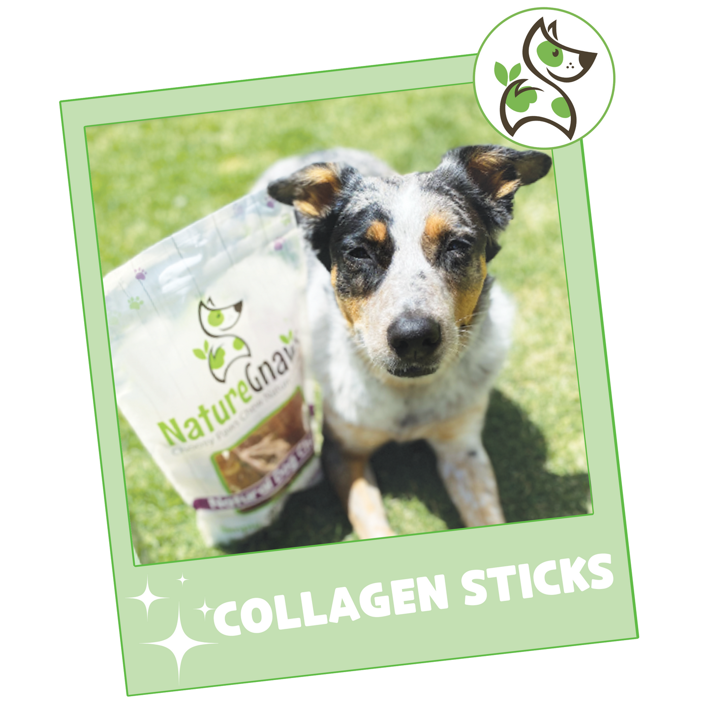 Collagen Sticks 6"