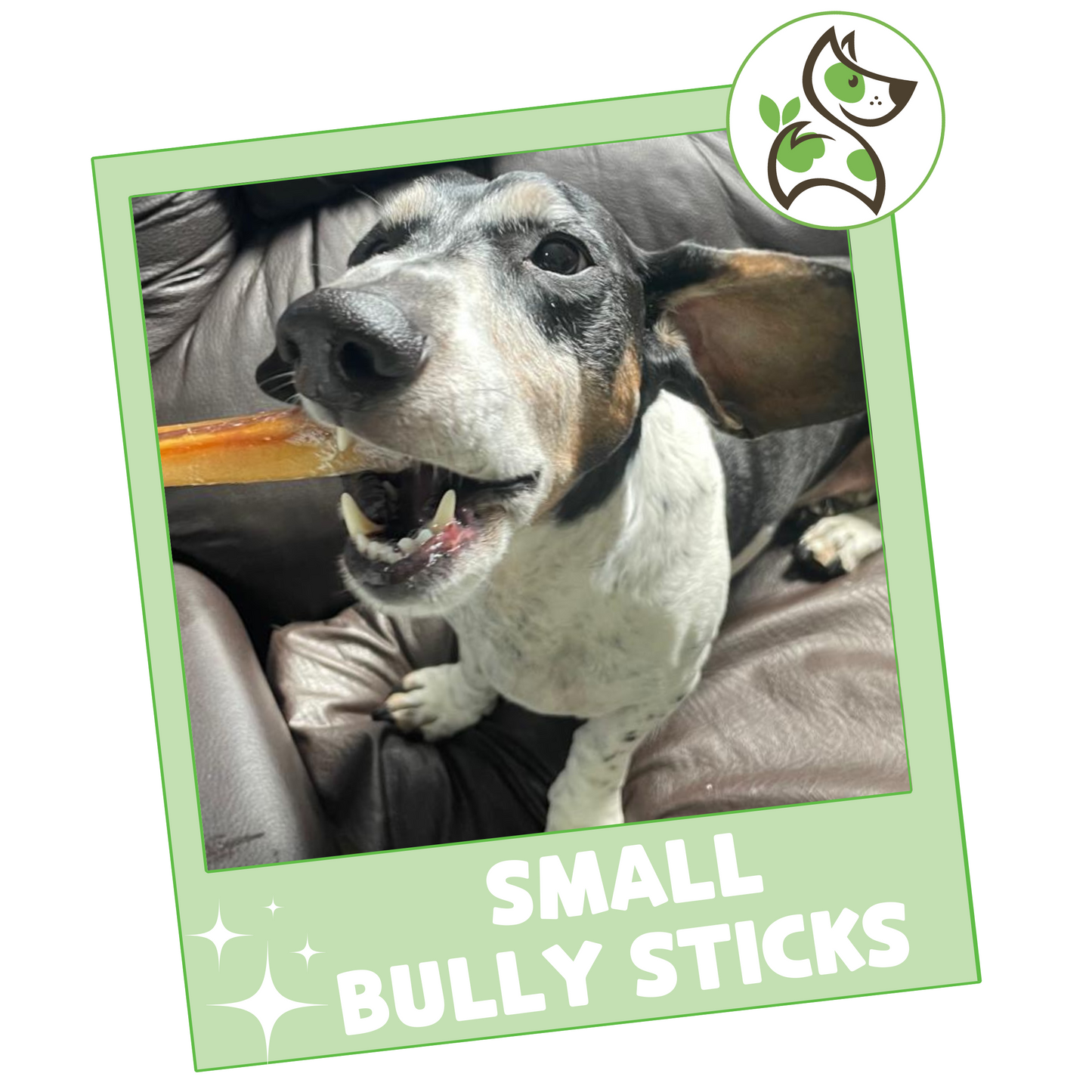 Small Bully Sticks 5-6"