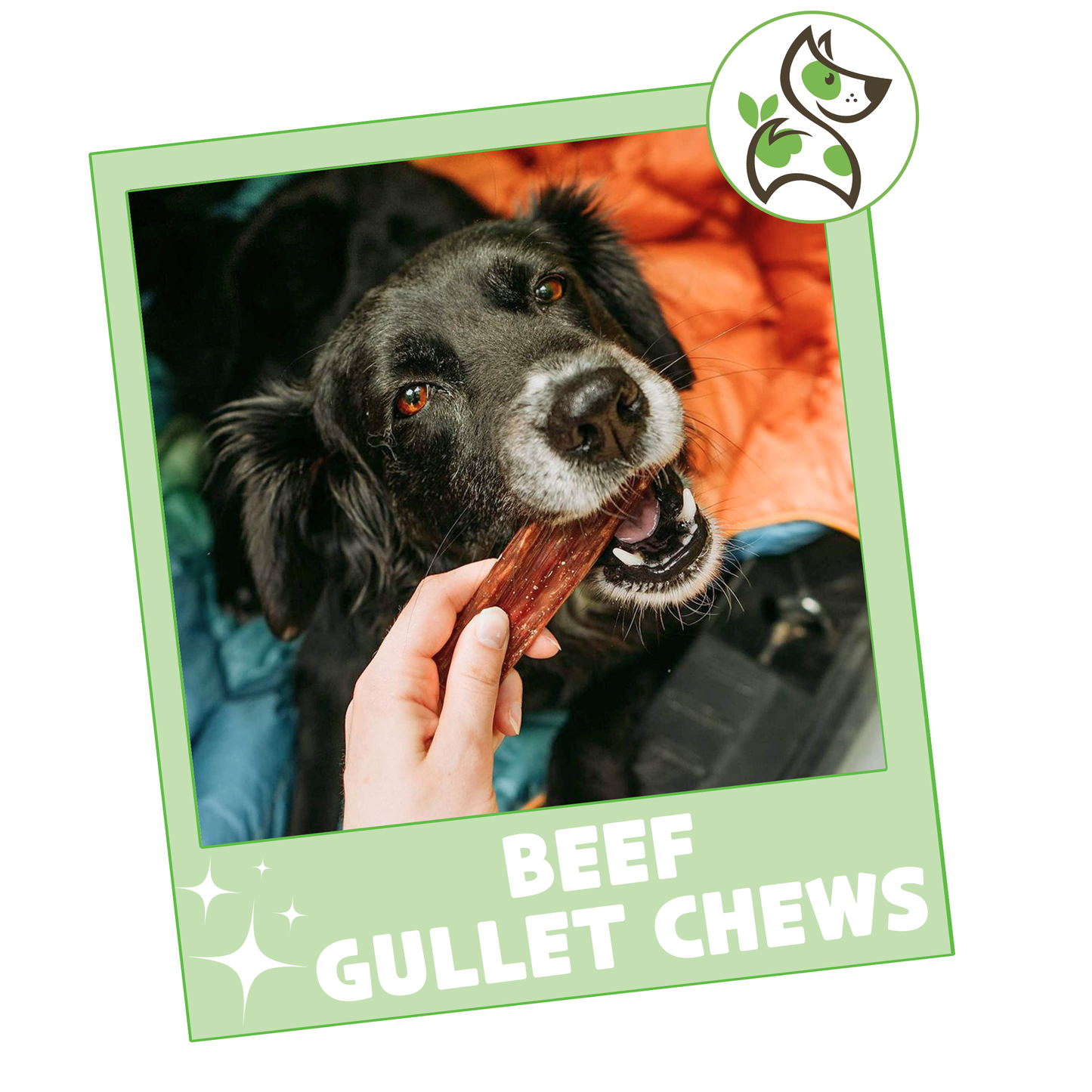 Beef Gullet Chews 4-5"