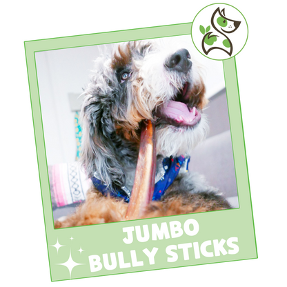 Jumbo Bully Stick 11-12"