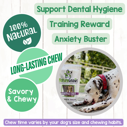 Beef Bully Coil Natural Long-lasting Dental Chew