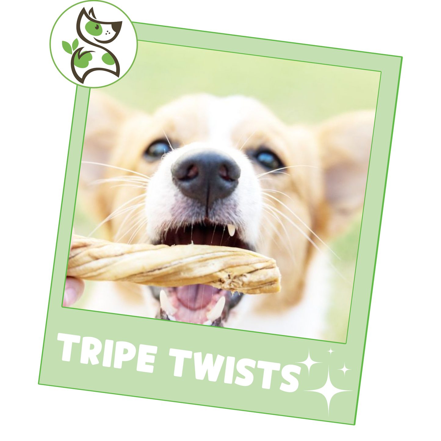 Beef Tripe Twists 4-5"