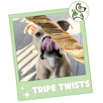 Beef Tripe Twists 4-5"