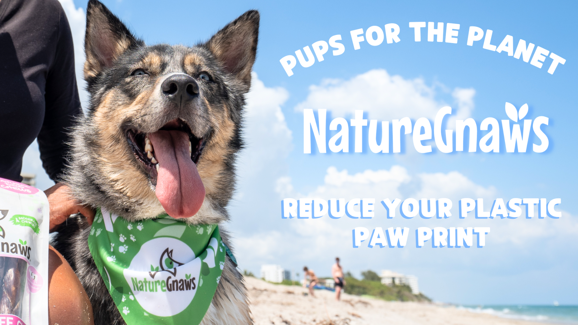 Dog chew shop subscription