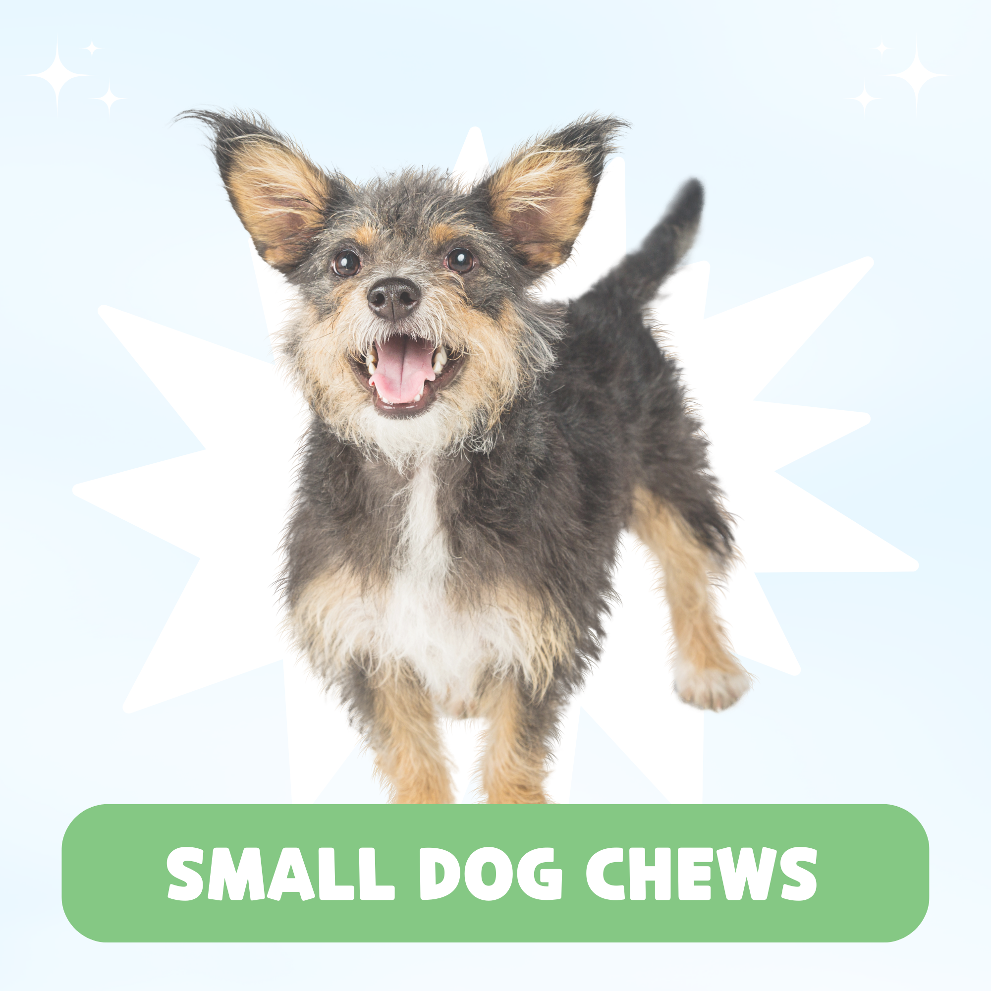 Nature gnaws small bully sticks best sale