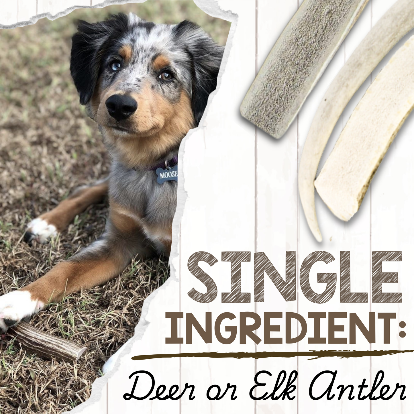 USA Antlers 4-7" – Long-Lasting Dental Dog Chews