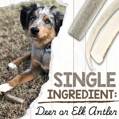 USA Antlers 4-7" – Long-Lasting Dental Dog Chews