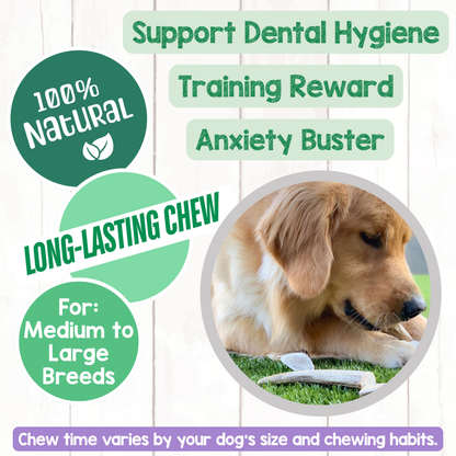 USA Antlers 4-7" – Long-Lasting Dental Dog Chews