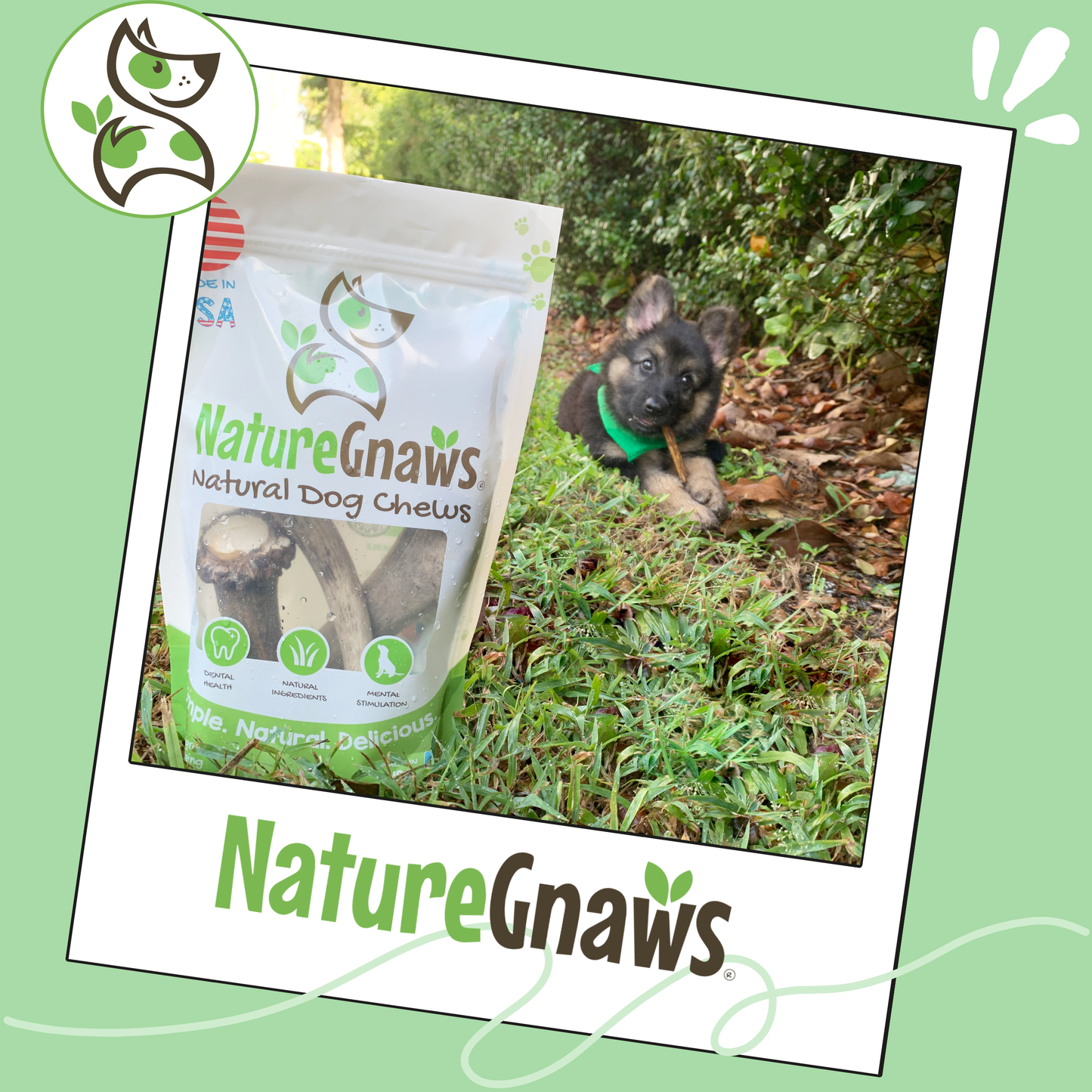 USA Antlers 4-7" – Long-Lasting Dental Dog Chews