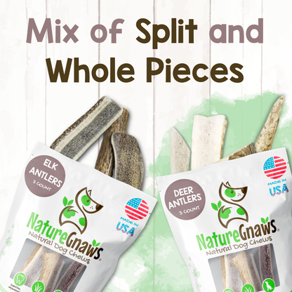 USA Antlers 4-7" – Long-Lasting Dental Dog Chews