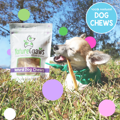 Gnaw Bag Variety Pack for Small Dogs