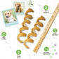 2 bully stick springs beside a ruler for perspective, green benefits icons and 2 polaroids of dogs with bully stick springs in their mouths