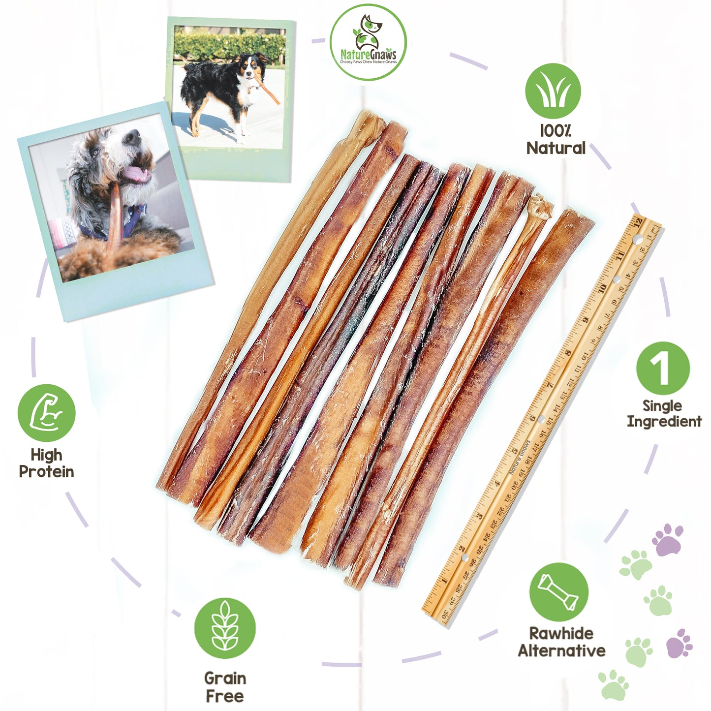 pile of large bully sticks beside ruler, green benefits icons and 2 polaroids of large dogs chewing on large bully sticks