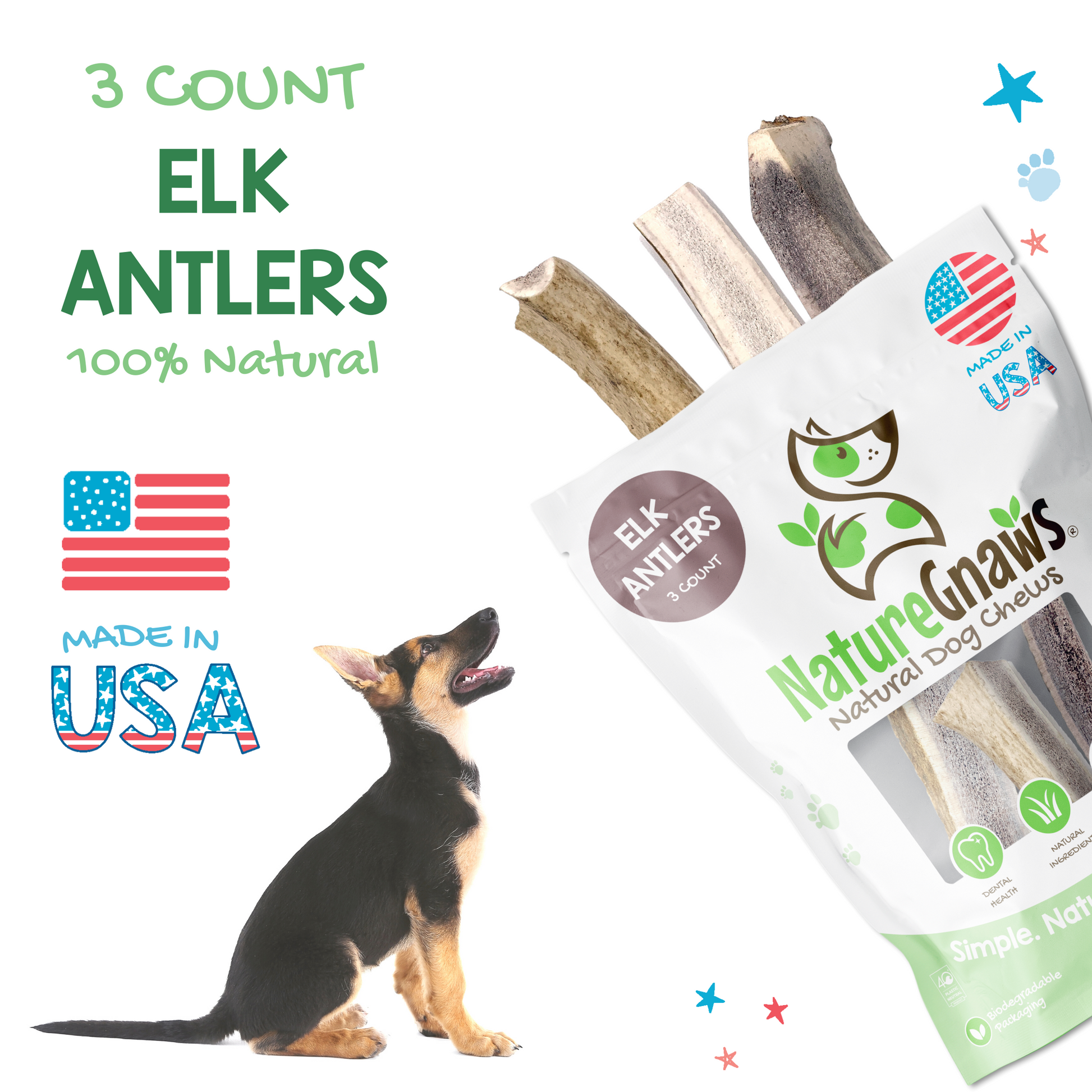 Elk horn dog sales bones